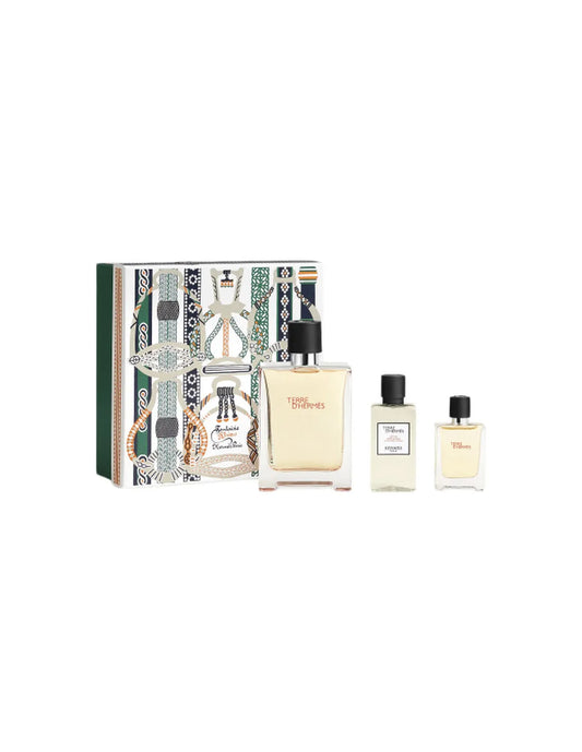 Hermes Hermes Terre Edt Spray 100ml Sets